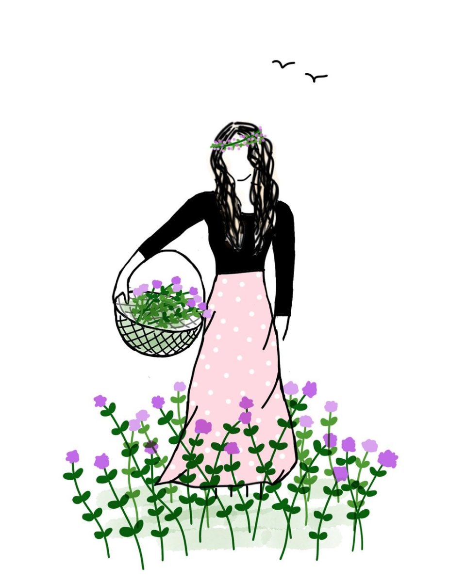 girl, flower basket, flowers, basket, lady, purple, blossom, flora, bloom, spring, nature, pink, lilac, birds, bright, happy, colorful, sketch, drawing, cartoon, doodle